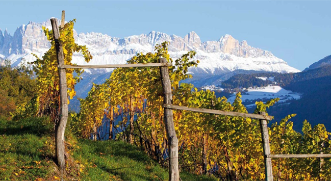 898_副本 898_副本