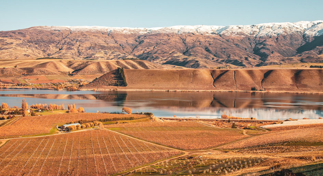 b586f640-07cd-43fb-bc32-b58ebad702d0 b586f640-07cd-43fb-bc32-b58ebad702d0