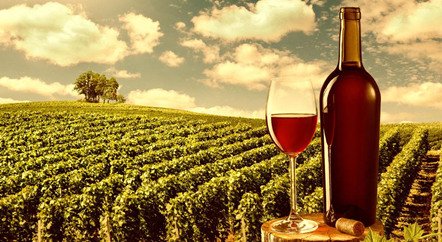 刷新拍賣紀錄的1945年羅曼尼·康帝是一款怎樣的酒？